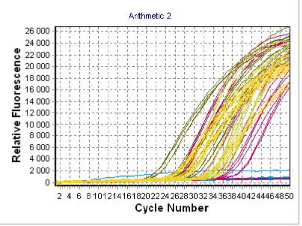 Krzywe na wykresie pokazują wzrost ilości produktów PCR po kolejnych cyklach