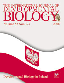 Okładka specjalnego numeru IJDB poświęconego embriologii w Polsce